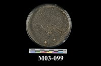 藏品(鐵砂)的圖片